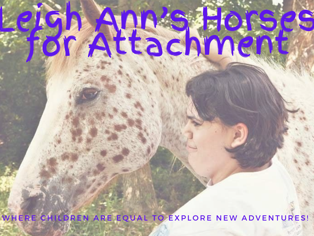 Leigh Ann's Horses for Attachment